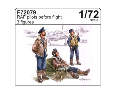 RAF Piloten 