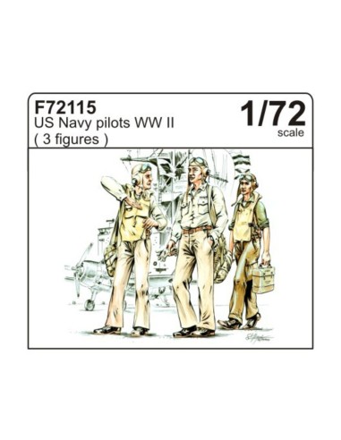 US Navy Piloten 