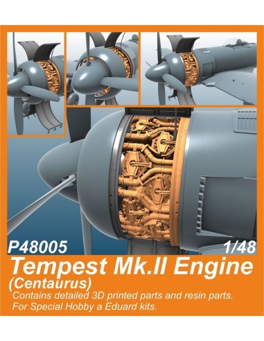 Tempest Mk.II Engine (Centaurus) for SH and Eduard kits 
