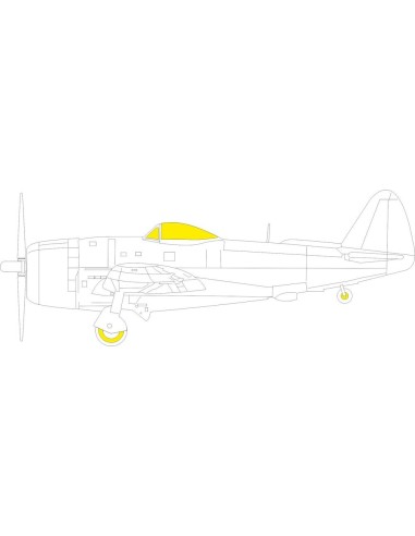 P-47D-25 TFace 1/48 