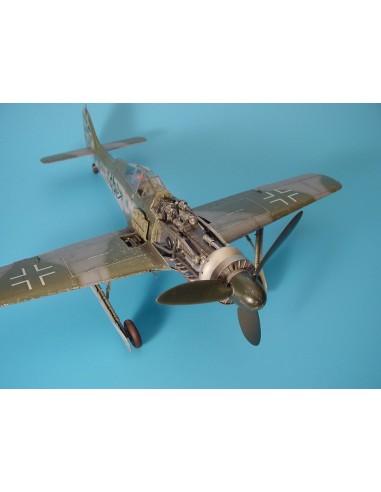 Focke-Wulf Fw 190D Motor Set und Bewaffnung 