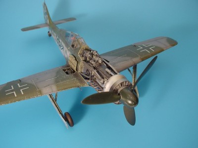 Focke-Wulf Fw 190D Motor Set und Bewaffnung 