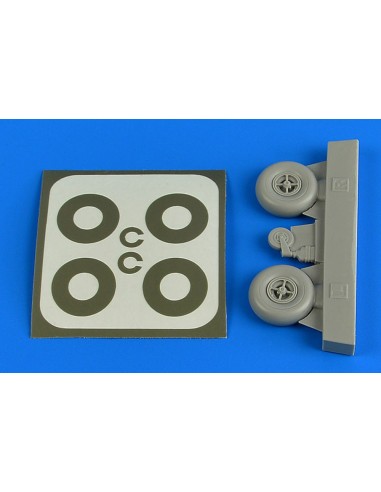 Bucker Bu 131 wheels & paint masks 