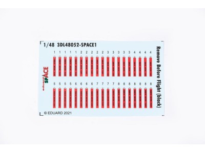 Remove Before Flight (black) SPACE 