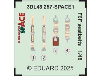 F6F seatbelts SPACE 