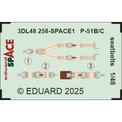 P-51B/C seatbelts SPACE 