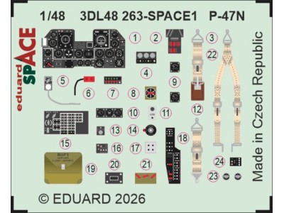 P-47N SPACE for Miniart 