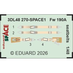 Fw 190A seatbelts SPACE 