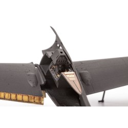 Fw 190D-9 for IBG 
