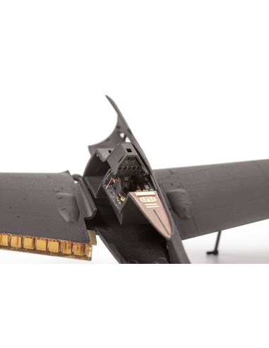 Fw 190D-9 for IBG 