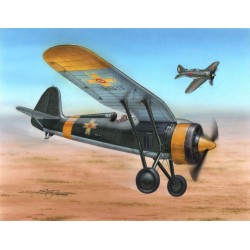 PZL P.11c "Foreign Service" 