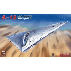U.S.Navy A-12 Avenger II 