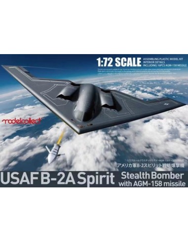 USAF B-2A Spirit Stealth Bomber with AGM-158 missile 