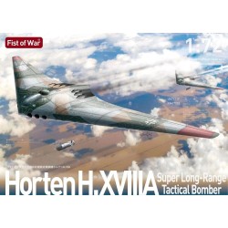 German WWII Horten H18A Super Long-Range Strategic Bomber 