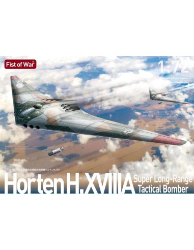 German WWII Horten H18A Super Long-Range Strategic Bomber 