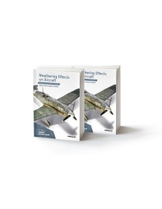 Weathering Effects on Aircraft English 