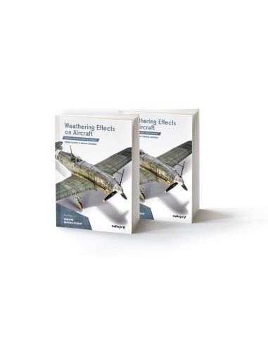 Weathering Effects on Aircraft English 