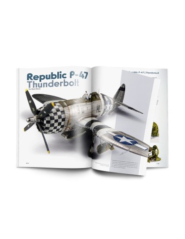 Weathering Effects on Aircraft Spanish 