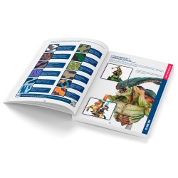 Color BSL System Spanish 