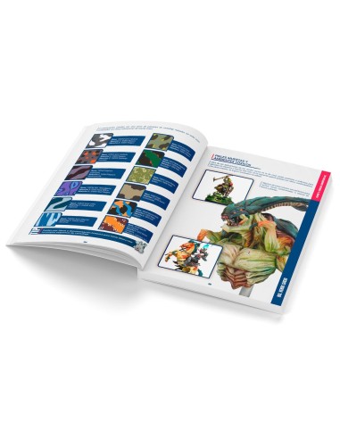 Color BSL System Spanish 