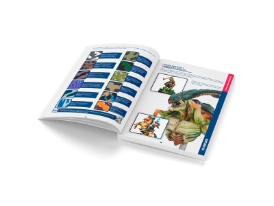 Color BSL System Spanish 