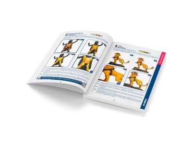 Color BSL System Spanish 