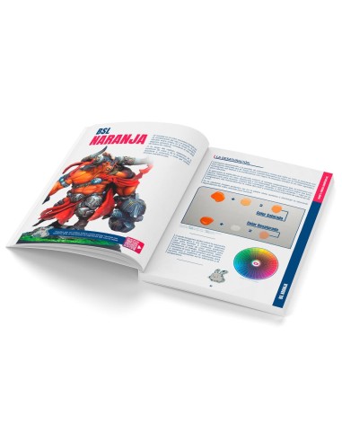 Color BSL System Spanish 
