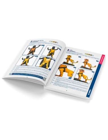 Color BSL System English 
