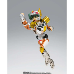 SAINT SEIYA MYTH CLOTH STEEL SAINT LANDCLOTH DAICHI...