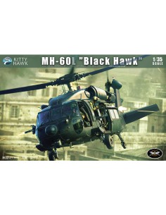 MH-60L Black Hawk 