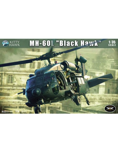 MH-60L Black Hawk 