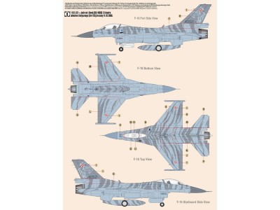 F-16C BLOCK 52 + JASTRZAB HAWK 