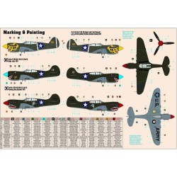 P-40E Aleutian Tiger  START SET  2