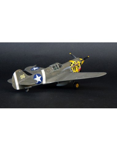 P-40E Aleutian Tiger  START SET 