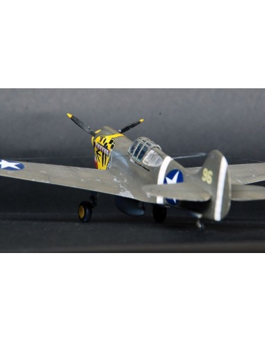P-40E Aleutian Tiger  START SET 