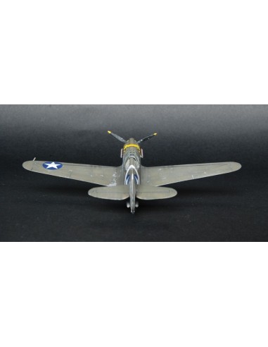 P-40E Aleutian Tiger  START SET 