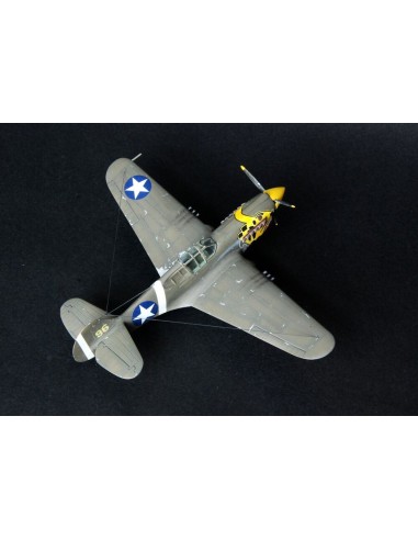P-40E Aleutian Tiger  START SET 