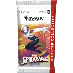 SPIDER-MAN COLLECTOR DISPLAY MAGIC FR 2