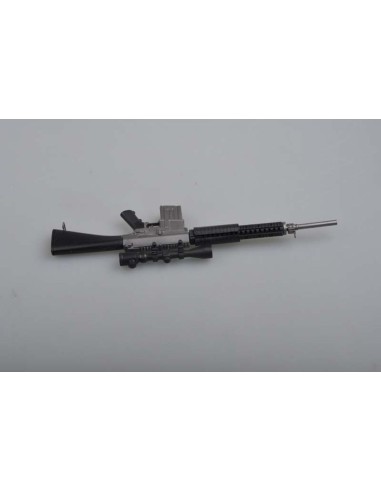 SR25 