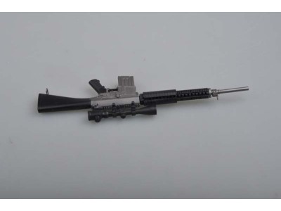 SR25 