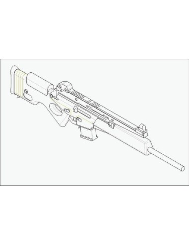 G36 