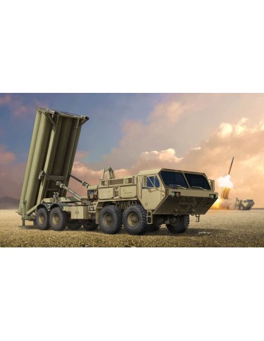 Terminal High Altitude Area Defence (THAAD) 