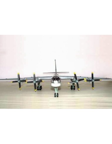 Tupolev Tu-95 MS Bear-H 