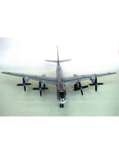 Tupolev Tu-95 MS Bear-H 