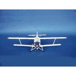 Antonov An-2 Colt / Nanchang Y-5  2