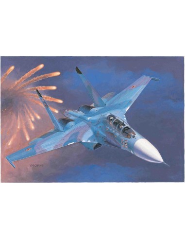 Russian Su-27UB Flanker C Fighter 