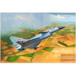 Chinese J-10B Fighter 