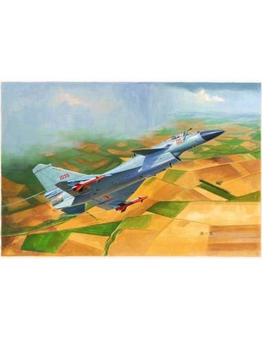 Chinese J-10B Fighter 