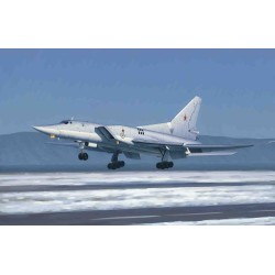 Tu-22M3 Backfire C Strategic bomber 