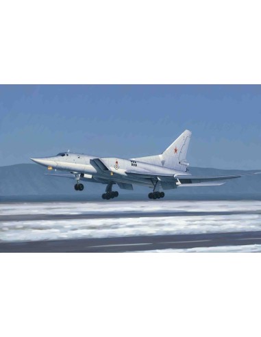 Tu-22M3 Backfire C Strategic bomber 